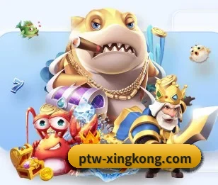 ptw-xingkong.com的故事