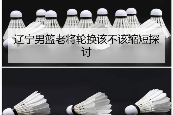 辽宁男篮老将轮换该不该缩短探讨